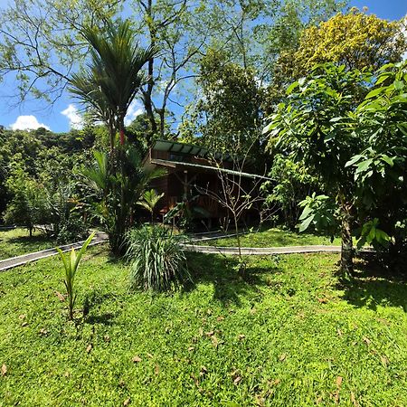 Centro Ananda Bed & Breakfast Guapiles Luaran gambar