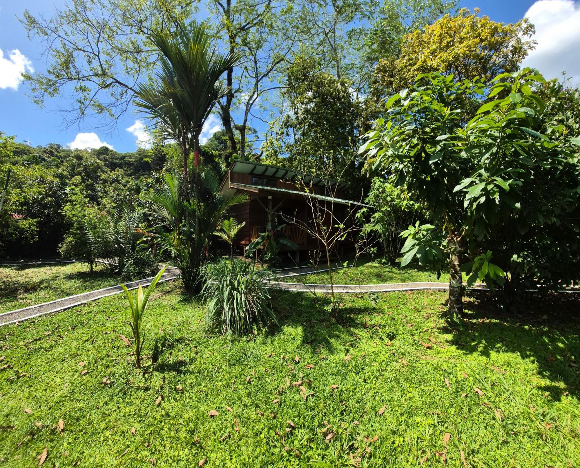 Centro Ananda Bed & Breakfast Guapiles Luaran gambar