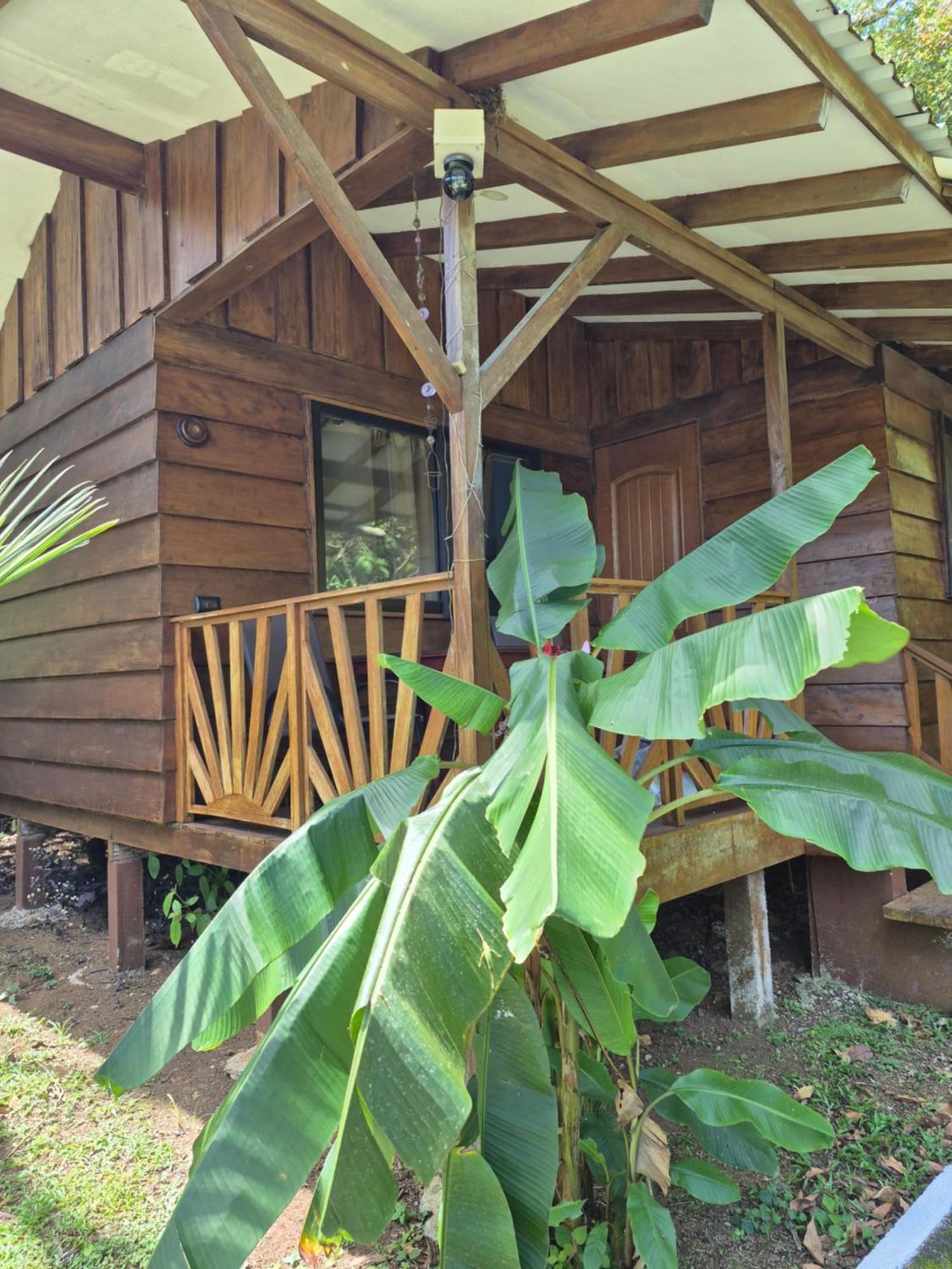 Centro Ananda Bed & Breakfast Guapiles Luaran gambar